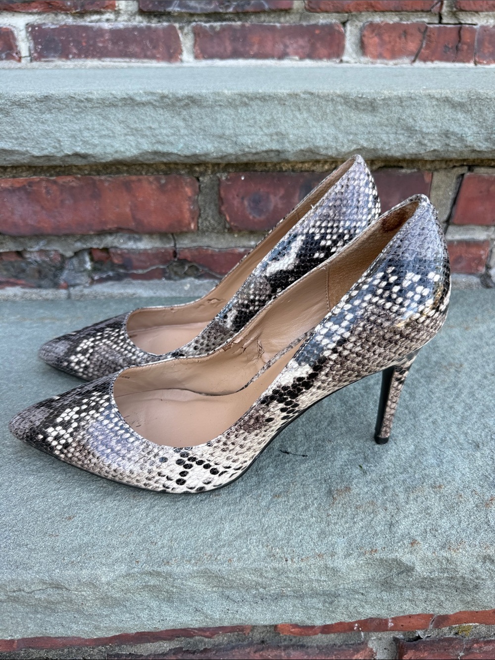Banana Republic Snakeskin Pointed-Toe Heels in Beige and Black
